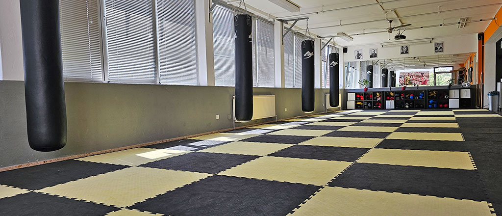 WingTsun-Akademie-Cosimo-My-Dependancen_Bad-Wildungen1